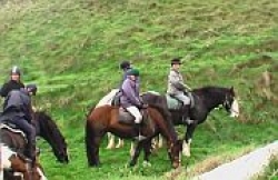 Horse riding on the beach