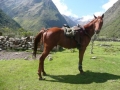 Horse Riding Holidays Peru