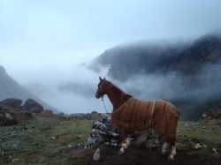 Riding Peru
