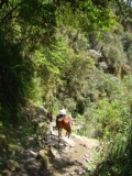 Tailormade Riding Holiday