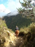 Bespoke Riding Holidays