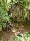 Tailormade Riding Holidays