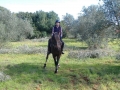 Horse Riding Holiday Portugal