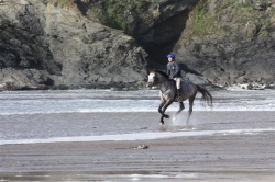Riding Holidays England