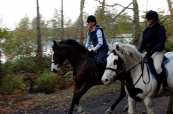 Horse Riding Holiday