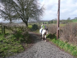 Horses Riding Holidays England