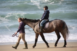 Horse Riding Holiday