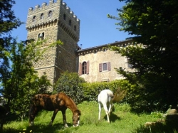 Castle riding in Italy