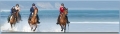 Horses, Beaches & Wine £300 pp