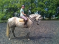 Dressage Break £280 pp