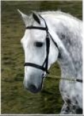 Trail Ride Ireland
