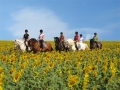 Epona trail riding and training Spain | 9