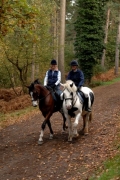 Delamere Forest - Bring Own Horse £155 pp