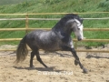 Malaga, Ronda, Jerez, Tarifa ride/culture fm £755