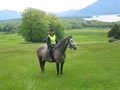 Weekend Trail Ride Ireland £450 pp