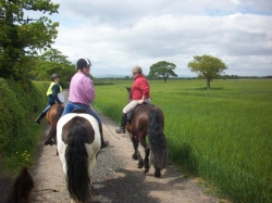 Adult Intensive Riding Break fm &pound;335 pp | 14