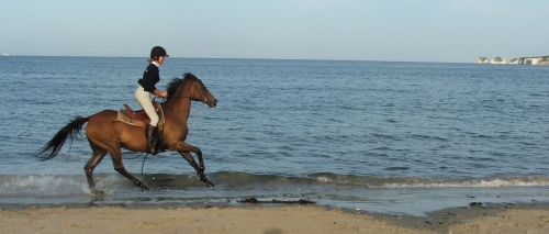 Riding Holidays Bournemouth | 13