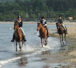 Riding Holiday in Bournemouth Beach