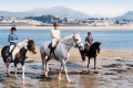 Riding Break in North Wales £260