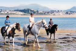 Riding Break in North Wales &pound;260 | 12