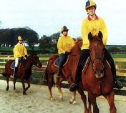 Riding Break in North Wales &pound;260 | 12