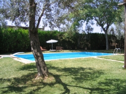 Luxury Seville horse riding
