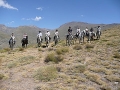 Mountain Riding Holiday and Granada for Beginners fm &pound;625 pp | 14