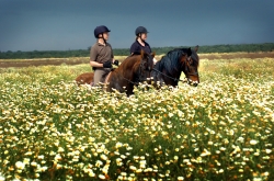 Riding Holidays and Weekends  