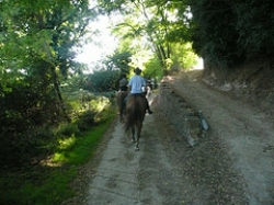 Riding Brigands trail 