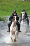 An Equestrian Interlude Ireland | 6