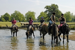 Windsor & Ascot Riding
