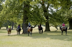 Riding Windsor & Ascot