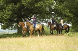 Riding Break Windsor & Ascot 
