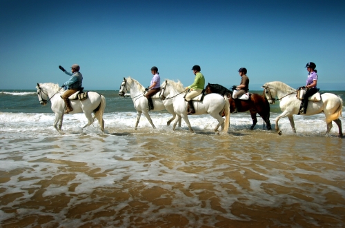 Andalucia Riding Holiday