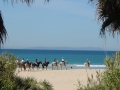 Midweek Beach Riding Holiday  Wales 