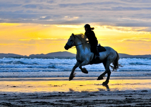 Riding Holidays Wales 