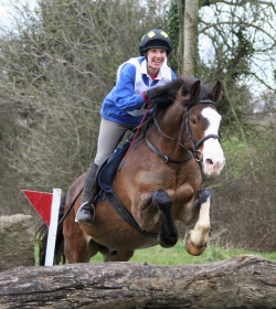 Equestrian Ireland 