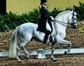 Horse World by Equestrian Escapes | 15