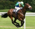 Horse World by Equestrian Escapes | 15