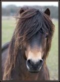 Horse World by Equestrian Escapes | 15