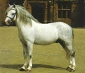 Horse World by Equestrian Escapes | 15