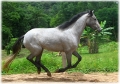 Horse World by Equestrian Escapes | 15