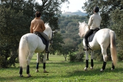Lusitano Luxury and Culture Riding Break &pound;650 | 10