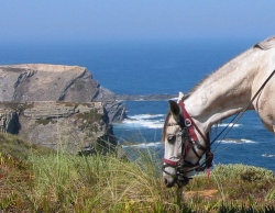 Best of Portugal, Beaches & Heritage One Week &pound;795 | 7