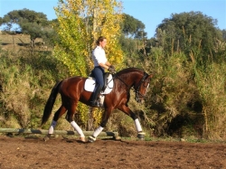 Lusitano Luxury and Culture Riding Break &pound;650 | 10