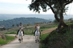 Lusitano Luxury and Culture Riding Break &pound;650 | 10