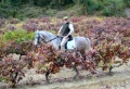 Best of Portugal, Beaches & Heritage One Week £795