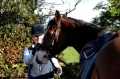 Forest Log Cabin Riding Holiday 1wk fm &pound;585pp | 8