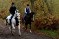 Forest Log Cabin Riding Holiday 1wk fm &pound;585pp | 8