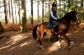 Forest Log Cabin Riding Holiday 1wk fm &pound;585pp | 8